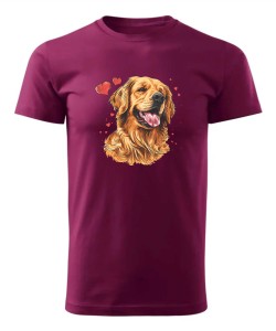 Golden Retriever serca