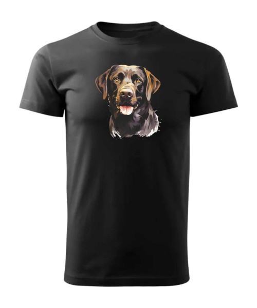 Labrador czekoladowy