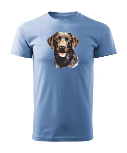 Labrador czekoladowy