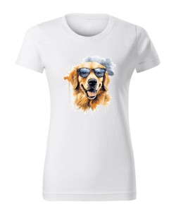 Golden Retriever w okularach