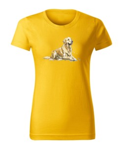 Golden Retriever leżący