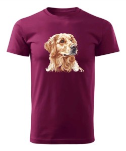 Golden retriever złoty