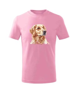 Golden retriever złoty