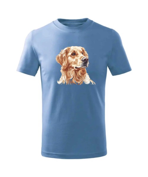 Golden retriever złoty