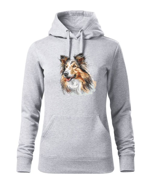 Owczarek szkocki collie