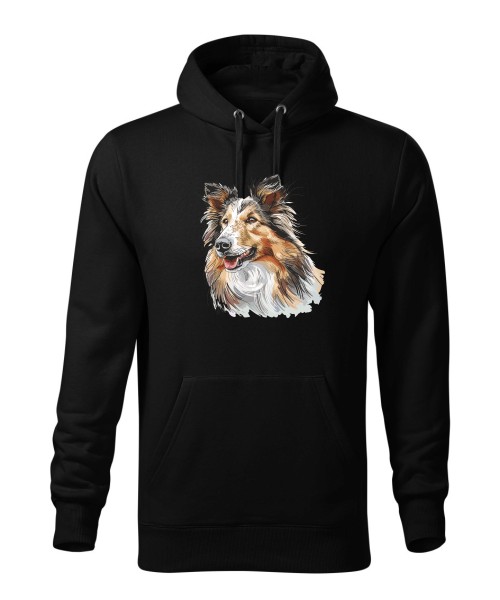 Owczarek szkocki collie