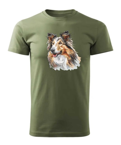 Owczarek szkocki collie