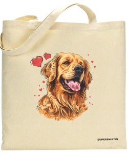 Golden Retriever serca