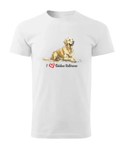 Golden Retriever leżący