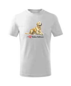 Golden Retriever leżący