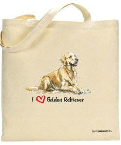 Golden Retriever leżący