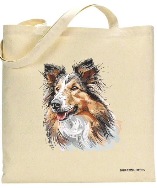 Owczarek szkocki collie