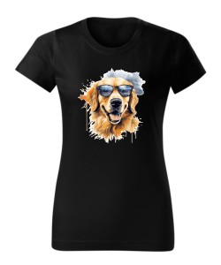 Golden Retriever w okularach