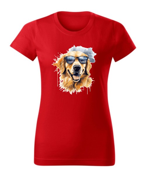 Golden Retriever w okularach