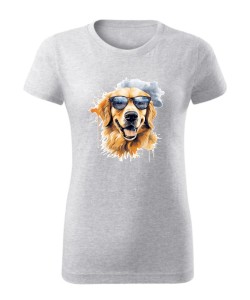 Golden Retriever w okularach