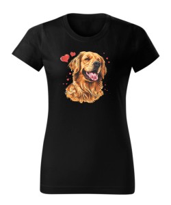 Golden Retriever serca