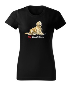 Golden Retriever leżący