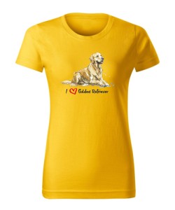 Golden Retriever leżący