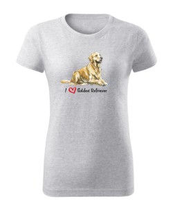 Golden Retriever leżący