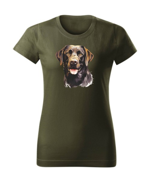 Labrador czekoladowy
