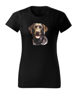 Labrador czekoladowy