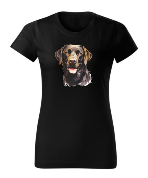 Labrador czekoladowy