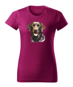 Labrador czekoladowy