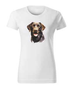 Labrador czekoladowy
