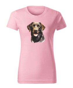 Labrador czekoladowy