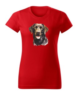 Labrador czekoladowy