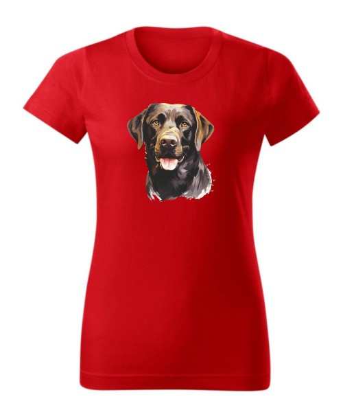 Labrador czekoladowy