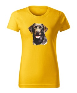 Labrador czekoladowy