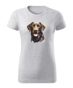 Labrador czekoladowy