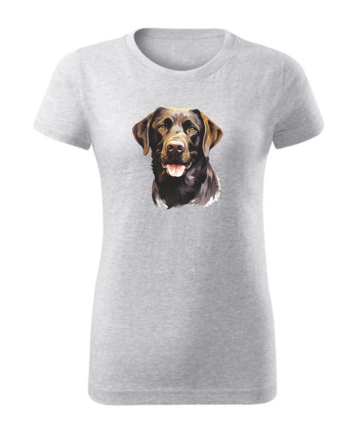 Labrador czekoladowy