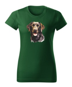 Labrador czekoladowy