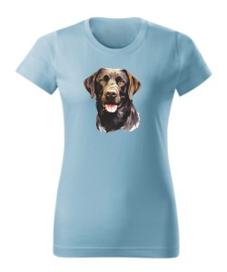 Labrador czekoladowy