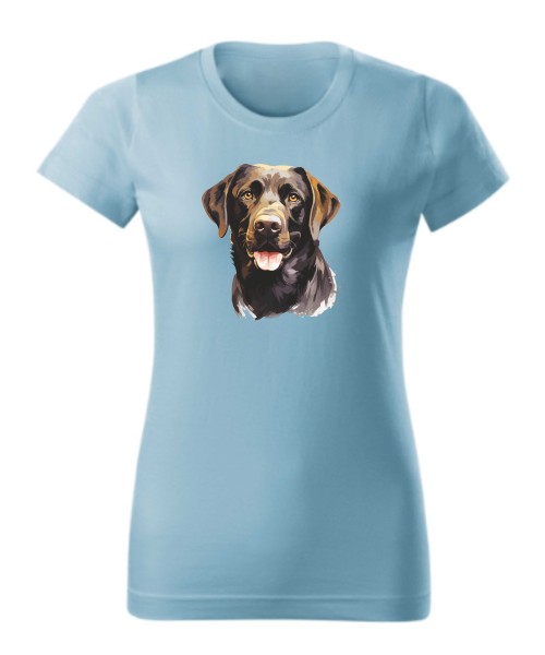 Labrador czekoladowy