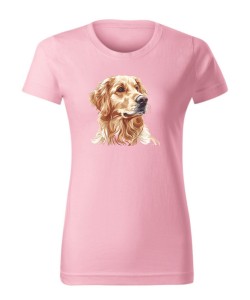 Golden retriever złoty