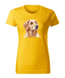 Golden retriever złoty