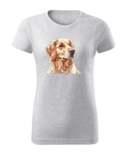 Golden retriever złoty