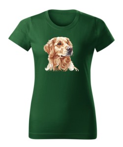 Golden retriever złoty