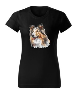 Owczarek szkocki collie