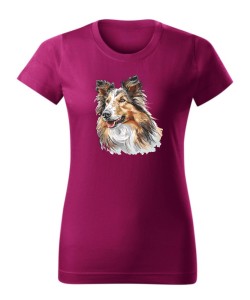 Owczarek szkocki collie