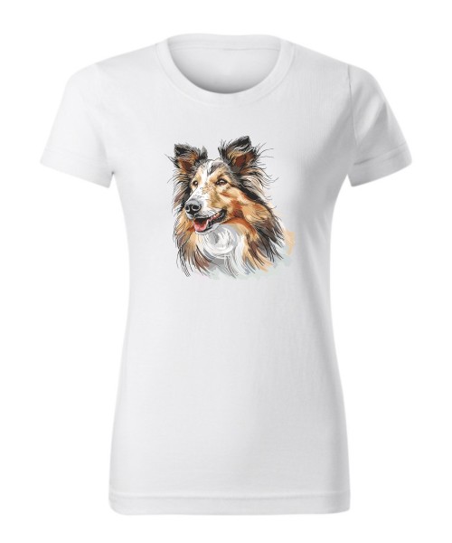 Owczarek szkocki collie