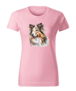 Owczarek szkocki collie