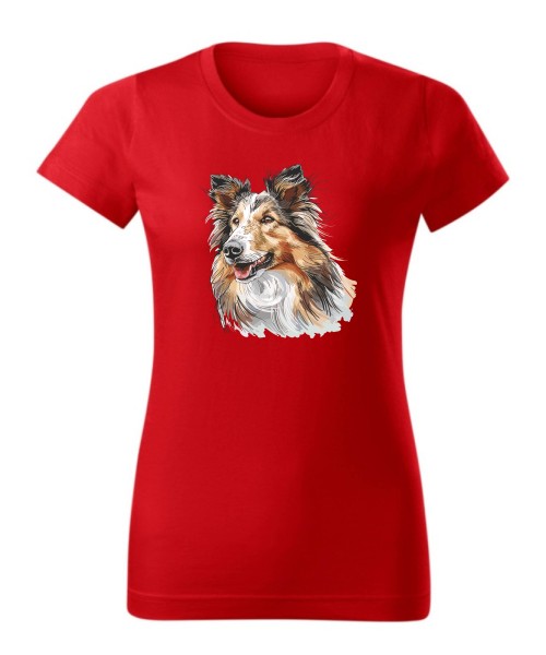 Owczarek szkocki collie