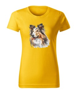 Owczarek szkocki collie