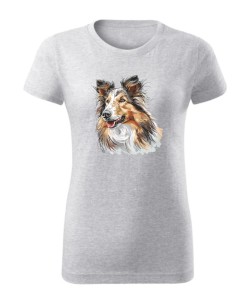 Owczarek szkocki collie