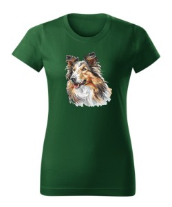 Owczarek szkocki collie