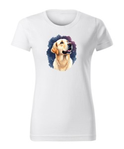 Golden retriever kosmos